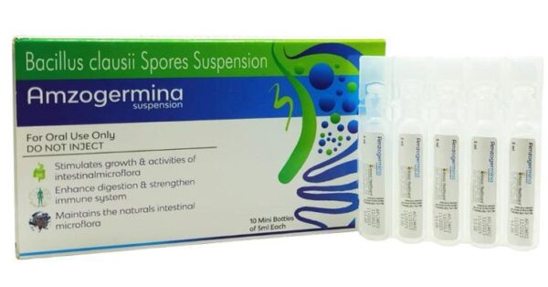 AMZOGERMINA Suspension